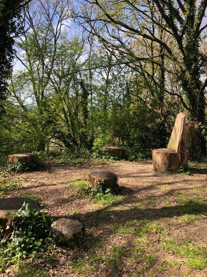 Appartement Au Calme Nature Et Centre Ville Quimper Dış mekan fotoğraf